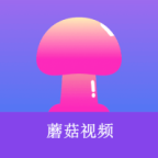 老司机开车APP应用
