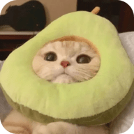 免费行情网站入口,直接看APPAPP应用